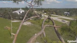 SWFL Bald Eagles 10292024 1416 [upl. by Stannfield473]