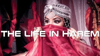 The Life in Harem Documentary [upl. by Barling]