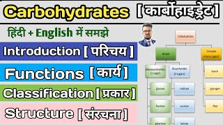 Carbohydrates in hindi  Classification of Carbohydrates  Monosaccharide  Disaccharide  Glucose [upl. by Stander]