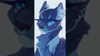 The leaders and their downfalls edit song bluestar blackstar nightstar tallstar ect [upl. by Raimondo]