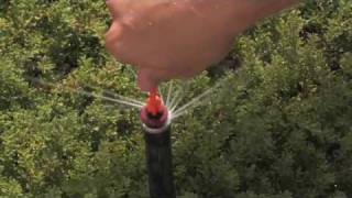 MP Rotator Series How to Adjust Hunters MP Rotator Sprinkler Head [upl. by Harlie]