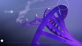 Réparation de l’ADN par Excision Nucléotide Animation 3D [upl. by Atreb]