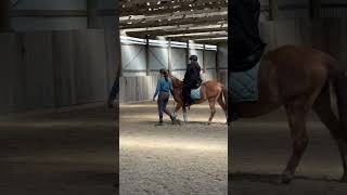 Raw of my second riding lesson  this is cully not my main horse I ride star [upl. by Eiramrebma]