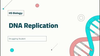 DNA Replication [upl. by Nonez]