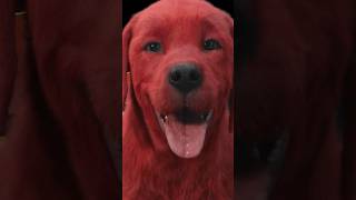 Clifford The Big Red Dog movie Late review Shorts [upl. by Verge]