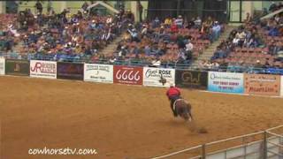 CowHorseTV  What is Reined Cow Horse NRCHA interview [upl. by Grantland871]