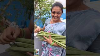 Ma Amma Cheti Vanta  Munakaya Pachadi Recipe shorts trending foodie [upl. by Euqitsym]