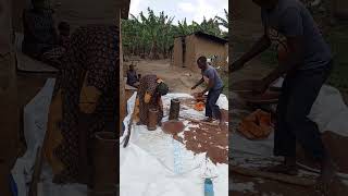 Village life keeping my African custom and traditions preparing millet my childhood memories [upl. by Yra]