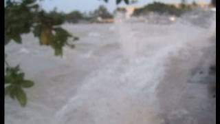 Shocking Footage of the 2011 Tsunami Hitting Hawaii [upl. by Goddard]