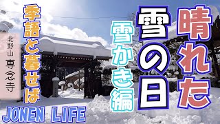 【季語と暮らせば】晴れた雪の日 雪かき編 ♯俳句 ♯季語 [upl. by Repsihw454]