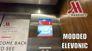 Modded Otis Traction Elevators  Marriott Hotel Biscayne Bay in Miami FL [upl. by Joeann]