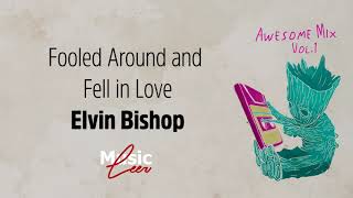 Fooled Around and Fell In Love  Elvin Bishop lyrics [upl. by Nylear32]