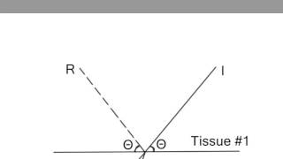 Transmission Reflection Refraction  Introduction to Ultrasound Physics [upl. by Oidgime25]