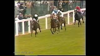 1981 Ascot Gold Cup Ardross [upl. by Latsyc]