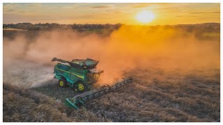 Harvest 2024 UKJohn Deere X9 1100  Epic harvest at sunset 4K UHD Harvest 24 🇬🇧 [upl. by Emilee779]