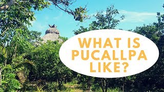 WHAT IS PUCALLPA LIKE [upl. by Blynn840]