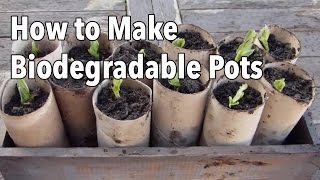 How to Make Biodegradable Plant Pots  Homemade Seed Starting Pots [upl. by Riehl]