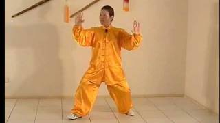 8 Form Tai Chi [upl. by Eeclehc]