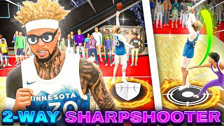 NEW 6’6 2way SharpShooting Creator HOF SHOOTING BEST BUILD IN NBA 2K24 [upl. by Maclay425]