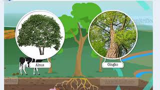 Nitrogen Cycle  Macmillan Education India [upl. by Darej]