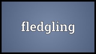 Fledgling Meaning [upl. by Nodnarbal]