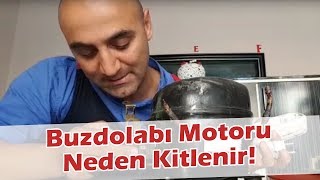 Buzdolabınız Soğutma Yapmıyorsa Bunun Bir Nedeni de Bu Olabilir Buzdolabı Motoru Neden Kitlenir [upl. by Nhguahs]