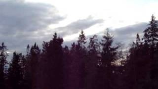 Great Horned Owl call  Whidbey Island Wa [upl. by Anem459]