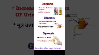 Medical Terminologypolyuria  DiuresisGlycosuriaMedical Terms short vedeo [upl. by Beuthel761]