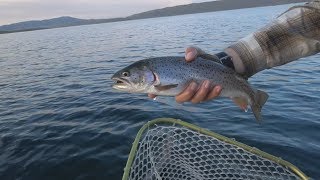 Forest Fires and Cutthroats  STRAWBERRY Reservoir Utah [upl. by Xuerd140]