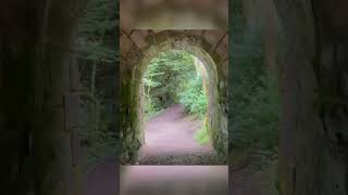 Walking Through this Ancient Tunnel video travel trending beautiful [upl. by Aicercal598]