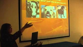 Social Signals in Dogs A lecture by Dr Melissa ShyanNorwalt [upl. by Aneerak608]