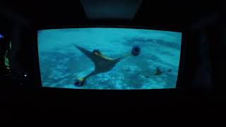 Onride Star tours the adventures continue 🛰 HDPOV 3D 2024  Disneyland Anaheim [upl. by Hallett963]