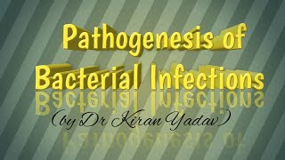 Microbiology lectures Pathogenesis of bacterial infectionsBacteriology [upl. by Ylim]