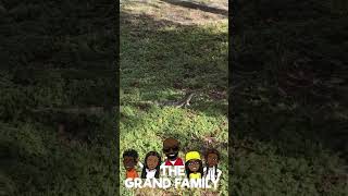 Huge Iguana’s spotted in Miami iguana miami florida beach familyvlog [upl. by Ennayehc]