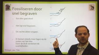 Biologie van Tim  Fossielen [upl. by Jorrie]