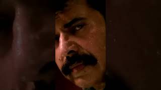 ബലി ഞാൻ അർപ്പിക്കും mammootty trendingshorts [upl. by Rramahs]