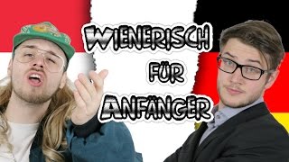 WIENERISCH FÜR ANFÄNGER  DEUTSCHLAND vs ÖSTERREICH  bissl Dialekt [upl. by Glaudia]