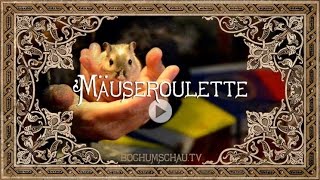 Mäuseroulette Mittelaltermarkt mit Gerbil [upl. by Danaher534]