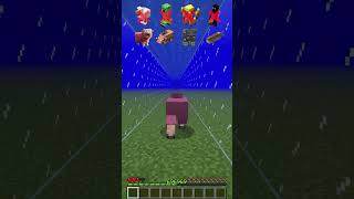 Water Damage vs Different Mobs meme shorts minecraft [upl. by Janella478]