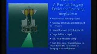 Phytoplankton in the Ocean  Perspectives on Ocean Science [upl. by Daus]