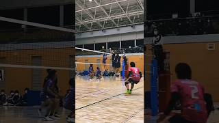 jump spike volleyball volley sports sport [upl. by Rovert792]