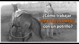 Arrendando Caballos v6 ¿Cómo trabajar en Circulos Cortos pie a tierra [upl. by Adnomar346]