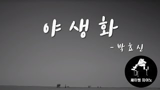 박효신 야생화 피아노코드레슨 [upl. by Einnol]