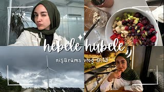 hebele hübele bizimle bir hafta 013 vlog [upl. by Gnilrad]