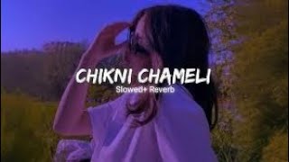 Chikni chameli Slowed Reverb song [upl. by Thierry]