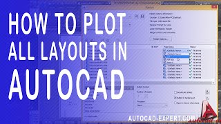 How to print all layout in autocad Plot all layouts from one clikc in autocad to PDF [upl. by Egwin]