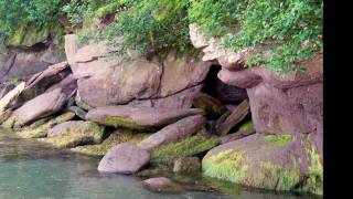 Chignecto Bay Fundy National Park Hiking Trails Alma New Brunswick Canada [upl. by Aleyam539]