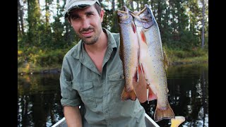 Canoeing and Fishing  Canadian Wilderness [upl. by Marlette949]