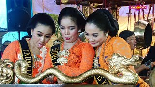 Live Streaming Krwt quotENDAH LARASquot season 2 ARS Jilid 3 mrOLOX  ALBINO HD [upl. by Almeda895]