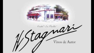 Historia del Vino Tannat  H Stagnari [upl. by Sagerman235]